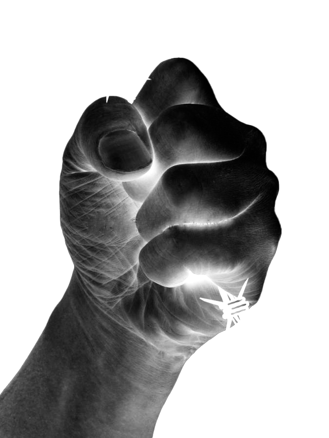 clenched fist holding barbed wire